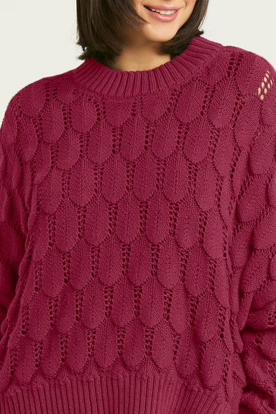 Pima Cotton Scallop Crewneck Sweater