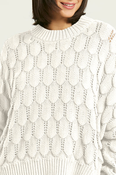 Pima Cotton Scallop Crewneck Sweater